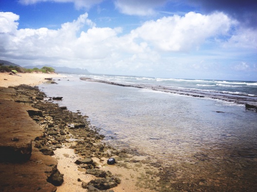 Natalie Grinnell Kauai Hawaii Travel Blog Tips Hawaiian 3